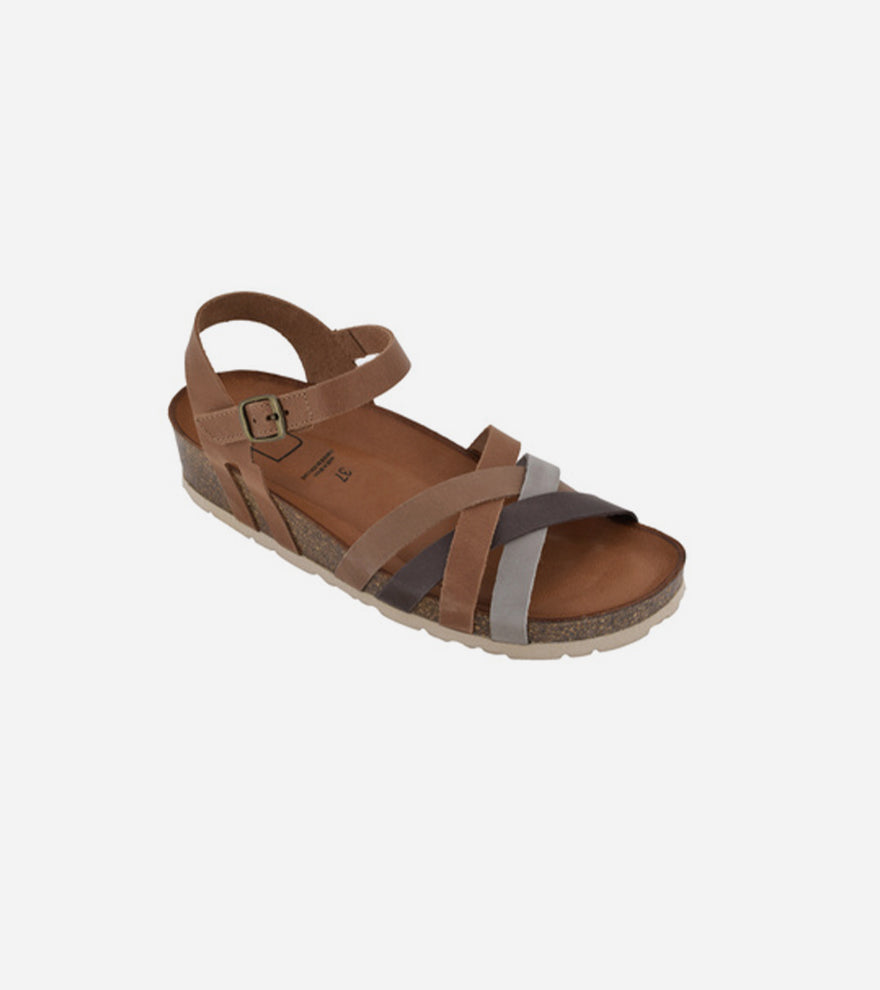 Biotime Hollis – Brown / Brun